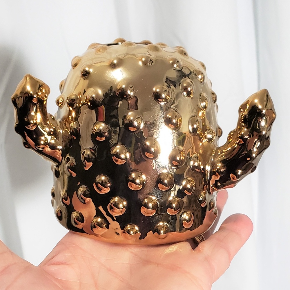 Host Pick! 🌵 Golden Dolomite Cactus Ceramic Bank